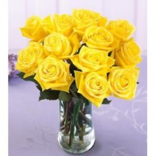 1 Dozen Yellow Roses in a Vase